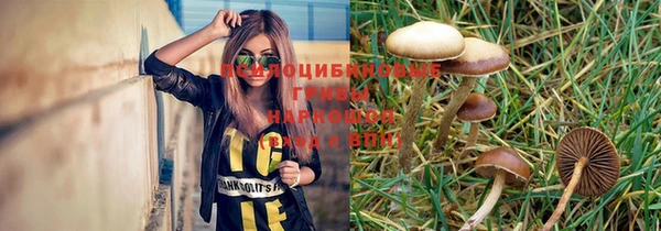 круглые Алексеевка