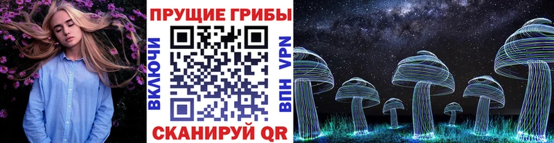 блэк спрут ссылка  Мыски  Галлюциногенные грибы мухоморы 