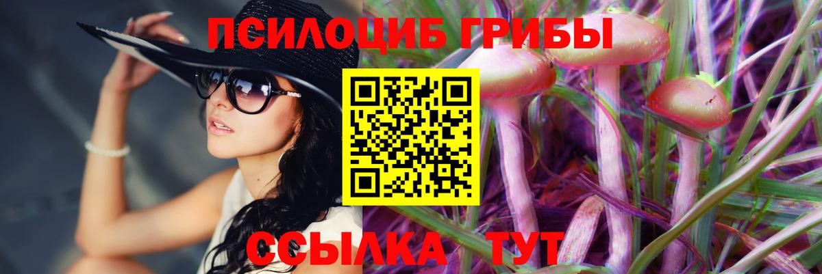 купить закладку  Вход с VPN  Мыски  Псилоцибиновые грибы Magic Shrooms 
